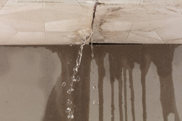 Professional Water Damage Repair technician working in Morrison, IL